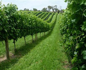 The Cups Estate - Accommodation Mount Tamborine 0