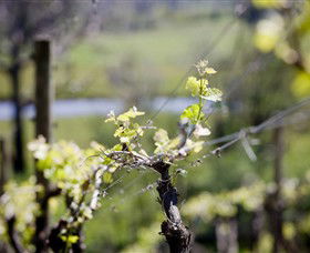 Kyneton Ridge Estate - Accommodation Mount Tamborine 0