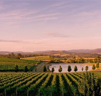Oakridge Wines - Accommodation Mount Tamborine