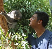 Healesville Sanctuary - Accommodation Mount Tamborine