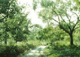 Rosedale VIC Accommodation Mount Tamborine