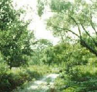 Holey Plains State Park - Accommodation Mount Tamborine