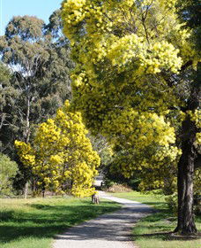 Surrey Hills VIC Accommodation Mount Tamborine