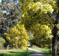Wattle Park - Accommodation Mount Tamborine