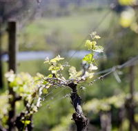 Eldridge Estate of Red Hill - Accommodation Mount Tamborine