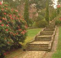 Maroondah Reservoir Park - Accommodation Mount Tamborine