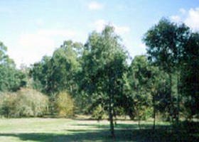 Sweeneys Flat - Accommodation Mount Tamborine 0