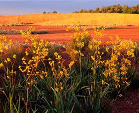 Royal Botanic Gardens Victoria Cranbourne - Accommodation Mount Tamborine 0