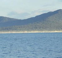 Gabo Island - Accommodation Mount Tamborine
