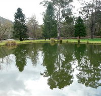 Mountain Fresh Trout and Salmon Farm - Accommodation Mount Tamborine