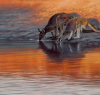 Steve Morvell Wildlife Art - Accommodation Mount Tamborine