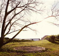 Scotchmans Hill - Accommodation Mount Tamborine