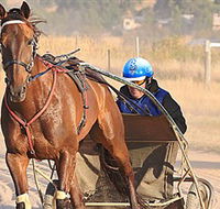 Ballarat  District Trotting Club - Accommodation Mount Tamborine