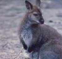 Churchill National Park - Accommodation Mount Tamborine