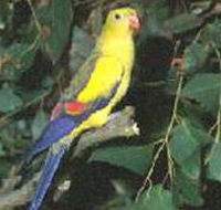 Lake Hindmarsh Reserve - Accommodation Mount Tamborine