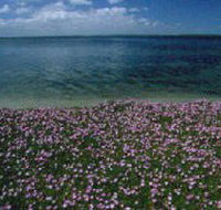 The Lakes National Park - Accommodation Mount Tamborine