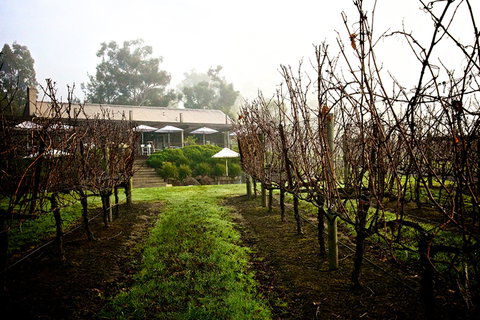 GREENSTONE VINEYARDS - Accommodation Mount Tamborine 4