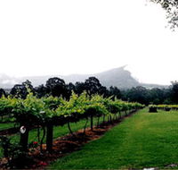 Cambewarra Estate Wines - Accommodation Mount Tamborine