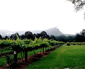 Cambewarra Estate Wines - Accommodation Mount Tamborine 0