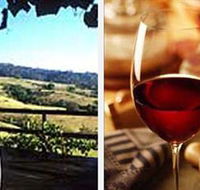 Jasper Valley Wines and Vines Cafe - Accommodation Mount Tamborine