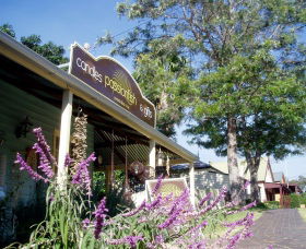 Central Tilba NSW Accommodation Mount Tamborine