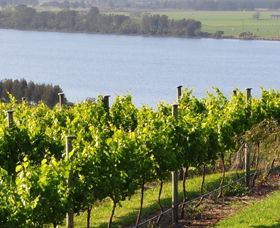 Shoalhaven Heads NSW Accommodation Mount Tamborine