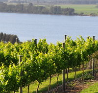 Two Figs Winery - Accommodation Mount Tamborine