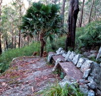 Wodi Wodi Walking Track - Accommodation Mount Tamborine
