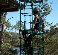 Trees Adventure Shoalhaven - Accommodation Mount Tamborine