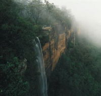 Bendeela Camping and Picnic Area - Accommodation Mount Tamborine