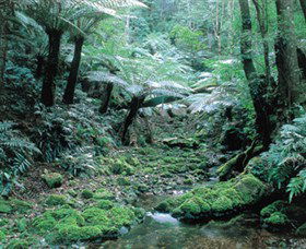 Deua National Park - Accommodation Mount Tamborine 0