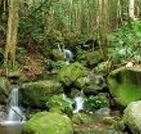 Budderoo National Park - Accommodation Mount Tamborine