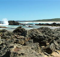 Coastal Walks - Bermagui - Accommodation Mount Tamborine