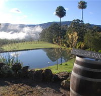 Yarrawa Estate - Accommodation Mount Tamborine