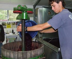 Fern Gully Winery - Accommodation Mount Tamborine 0