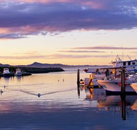 Bermagui Fishermens Wharf - Accommodation Mount Tamborine