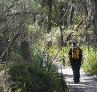 Barren Grounds Nature Reserve - Accommodation Mount Tamborine