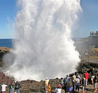 Kiama Blowhole - Accommodation Mount Tamborine