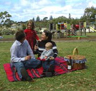 Blackbutt Forest Reserve - Accommodation Mount Tamborine