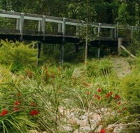 Eurobodalla Botanic Gardens - Accommodation Mount Tamborine