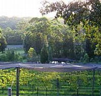 Lyrebird Ridge Organic Winery - Accommodation Mount Tamborine