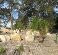 Curtis Park Arboretum - Accommodation Mount Tamborine