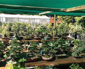 Bonsai At The Bay - Accommodation Mount Tamborine 0
