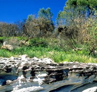 Abrahams Bosom Reserve - Accommodation Mount Tamborine