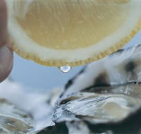 Pearly Oyster Bar and Farm - Accommodation Mount Tamborine