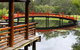 North Coast Regional Botanic Garden - thumb 0
