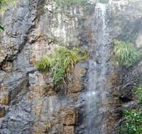 Wedding Bells Forest Drive - Accommodation Mount Tamborine