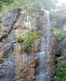 Wedding Bells Forest Drive - Accommodation Mount Tamborine 0