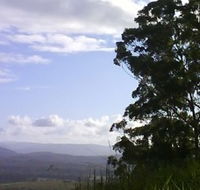 Sherwood Nature Reserve - Accommodation Mount Tamborine