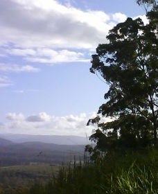 Sherwood Nature Reserve - Accommodation Mount Tamborine 0